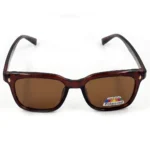 Classic Polarized Sunglasses